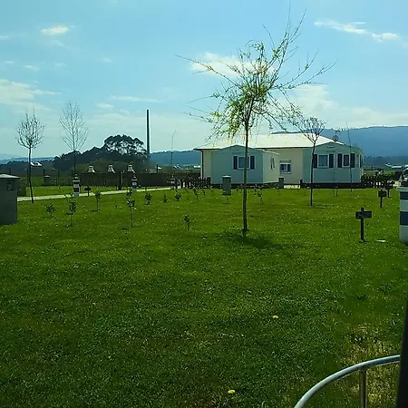 Rinlocosta *