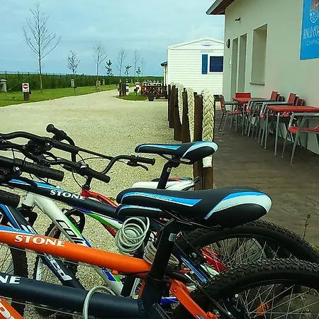 Rinlocosta 营地 利洛
